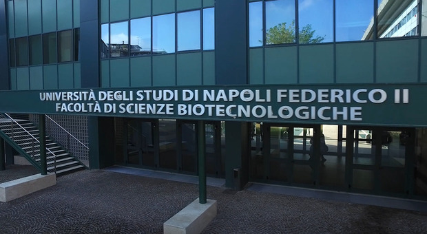 «Medicina Interna 4.0», a Napoli il congresso dell’Università Federico II