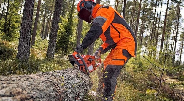 Operatore forestale, parte a Rieti il 31 gennaio il corso per ottenere le qualifica