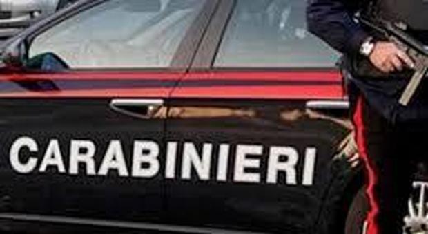 Blitz antidroga dei carabinieri nel territorio di Mogliano
