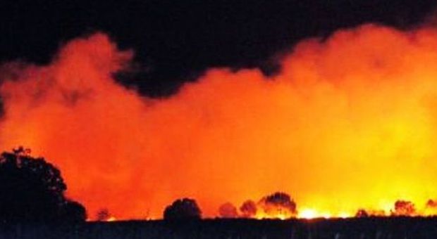 L'incendio a Vallevecchia alla Brussa di Caorle (FotoVinicio)
