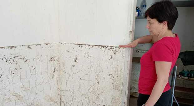 Cattabrighe, sei famiglie alluvionate raccontano la disperazione: «Le case un disastro e i mobili da buttare»