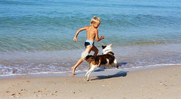 Pediatri e veterinari: i cani in spiaggia fanno bene ai bambini, ecco perché