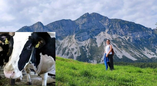 Chiara, veterinaria di 25 anni muore schiacciata da una mucca mentre la visita