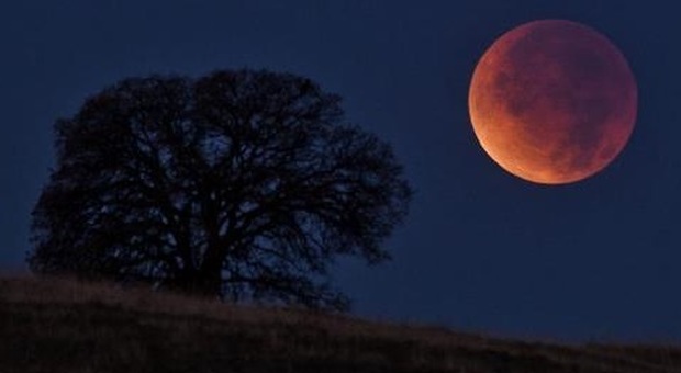 Eclissi di Luna domenica notte: sarà super, ecco come seguirla