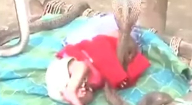 La neonata dorme e quattro cobra la vegliano: il video choc arriva dall'India