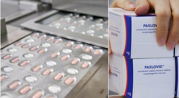 Covid, la pillola antivirale Paxlovid arriverà nelle farmacie: disponibile con ricetta medica