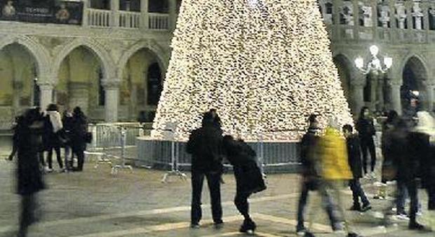 Quei due alberi di Natale che fanno discutere i veneziani