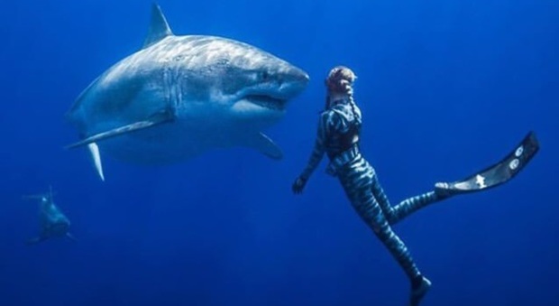 Il gigantesco squalo bianco e Ocean Ramsey nelle acque delle Hawaii (foto Ansa)
