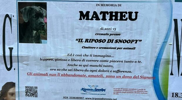 «Ti immagino libero e gioioso»: il manifesto per l'addio al cane Matheu