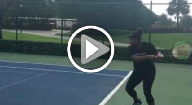 Serena Williams, in campo con il pancione: il video fa impazzire i fan