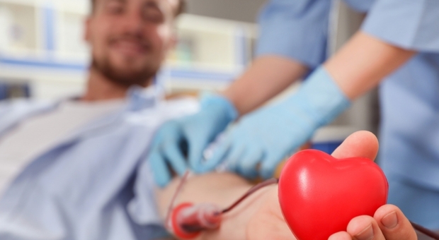 San Valentino, appello dall'ospedale Cardarelli: «Donate il sangue, è un atto d'amore»