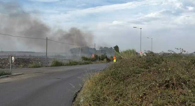 Incendio nel Salento: fiamme alte a causa del forte vento sulla strada provinciale