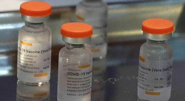 SHOWCASE - Vaccini, in Venezuela 2,5 milioni di dosi Sinovac da Covax