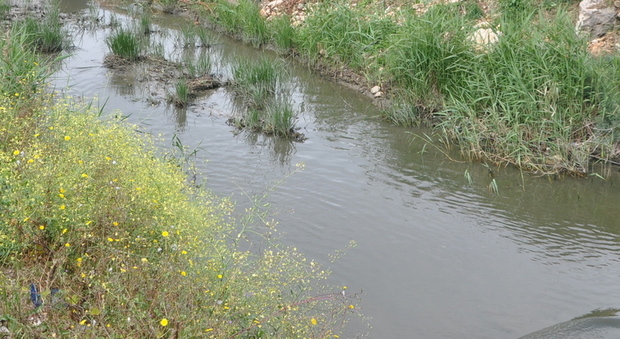 Reggio Emilia, cade con l'auto in un canale e muore pochi giorni dopo: «Ha ingerito acqua contaminata»