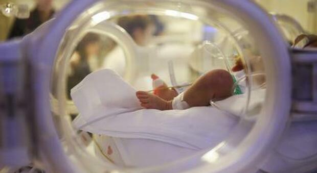 Neonato sopravvive sei ore in una cella frigorifera di un obitorio: era stato dichiarato morto dopo la nascita