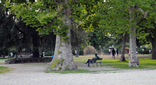 Il parco di Pratogiardino