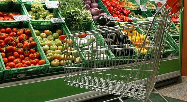 GDO: il supermercato più amato dagli italiani