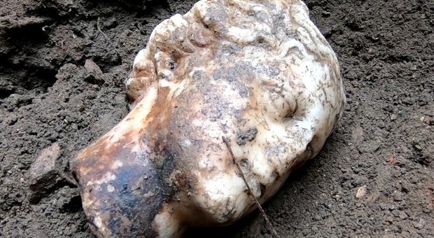 Ostia Antica, dalla terra riaffiora una testa di Venere: potrebbe essere l'Afrodite al bagno di Doidalsas