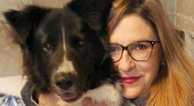 «Accusato di maltrattamento animali si procura un altro cane, il settimo»