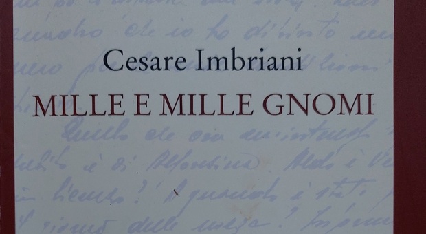 “Mille e mille gnomi”, il nuovo libro di Imbriani, poeta ed economista