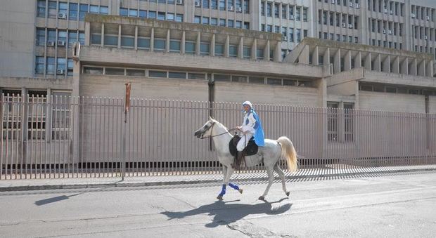 Lecce, il principe azzurro esiste e cerca la sua bella a cavallo