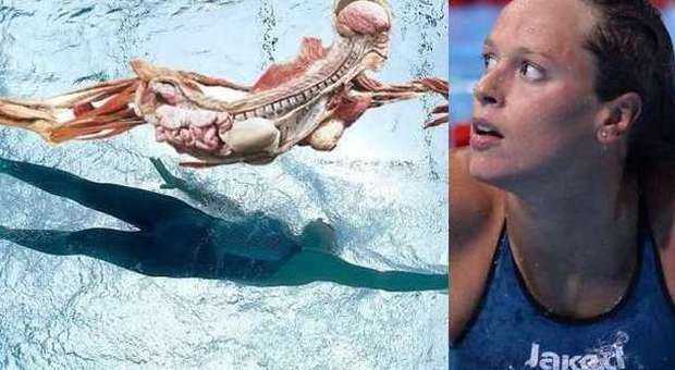 Mostra choc: nuotatrice morta esposta in onore della Pellegrini