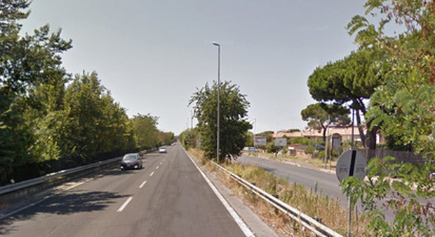 Roma, albero cade sulla via del Mare: servizio interrotto sulla Roma-Lido