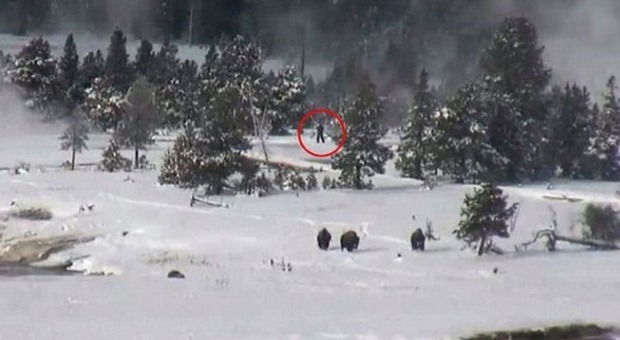 Il Bigfoot nel parco di Yellowstone: le immagini riprese da una telecamera