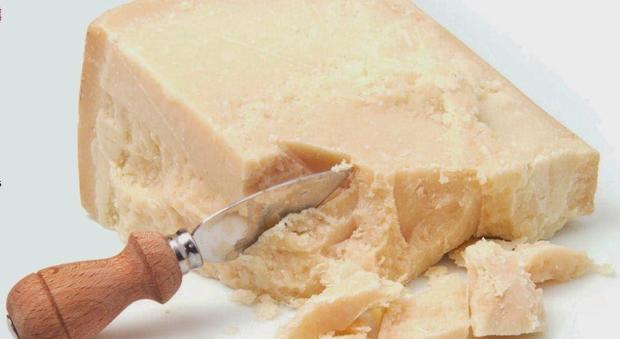 Allarme alimentare, analisi in corso: muffe cancerogene nel formaggio?