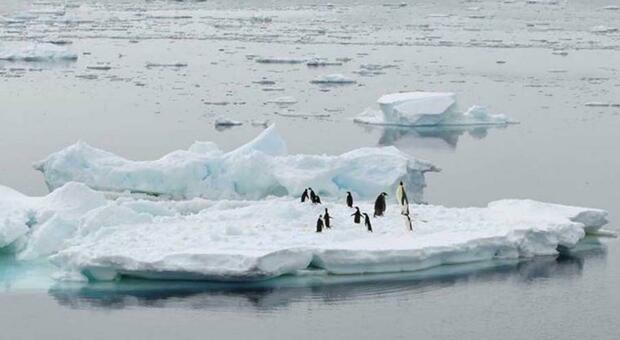 Scioglimento dei ghiacci, l'Antartide negli ultimi 45 anni ha perso una calotta polare grande quasi quanto l'Argentina