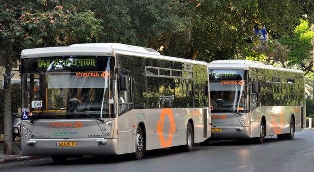 I bus israeliani
