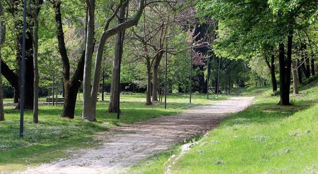 Milano, donna stuprata al parco mentre porta a spasso il cane: caccia al violentatore