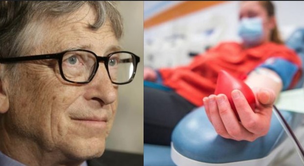Plasma iperimmune, la Microsoft di Bill Gates cerca pazienti donatori per creare un trattamento Covid-19