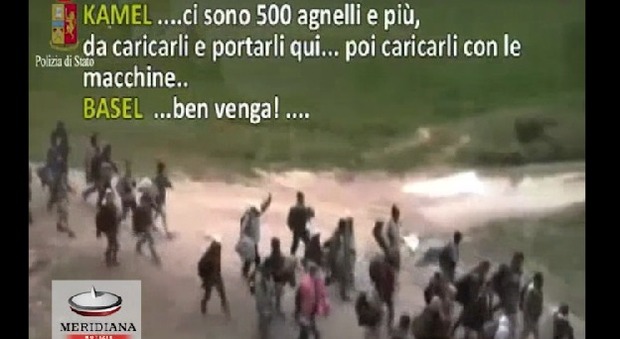 Trasportavano migranti su auto private: 21 arresti tra Italia, Belgio e Francia