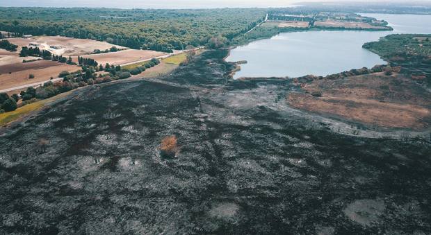 La devastazione dell'incendio ai laghi Alimini