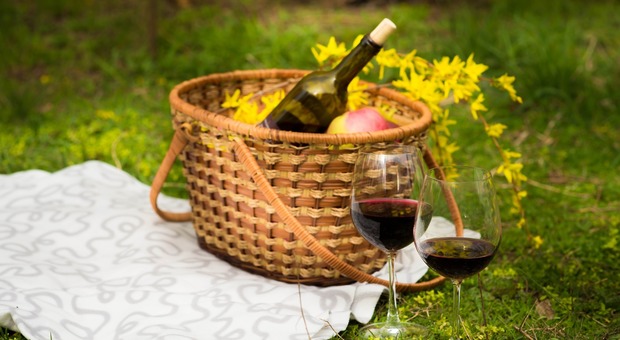 Cortina sotto le stelle: picnic tra i boschi, pizze d'autore e cento vini da assaggiare (Foto di belikt da Pixabay)