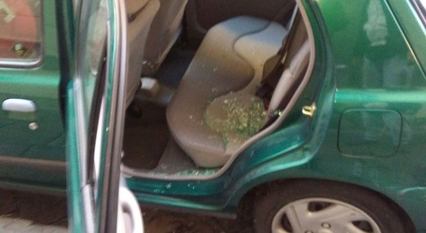 Auto vandalizzate in serie a Chiaia «Sono stati i parcheggiatori abusivi»