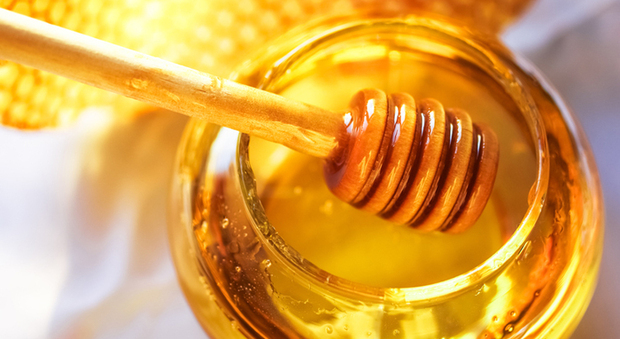 Oggi lunedì 11 ottobre Barbanera consiglia: miele, non solo dolcezza