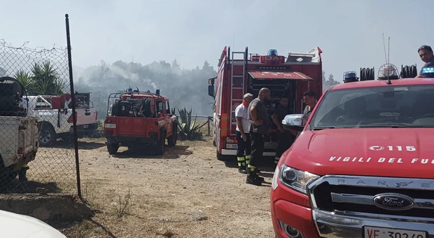 Vasto incendio a Omignano, malore per un vigile del fuoco