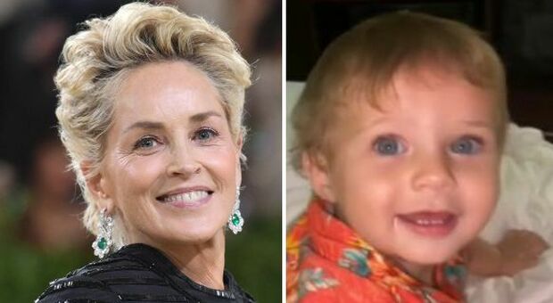 Sharon Stone, donati gli organi del nipotino River: «Ha salvato tre vite»