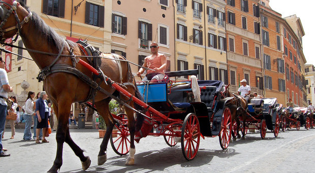 Roma, fine corsa per le botticelle: «I vetturini fuori dal Tridente»