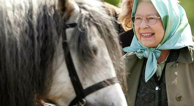 La Regina Elisabetta si riprende dal Covid: fotografata accanto ai suoi cavalli alla Wood Farm