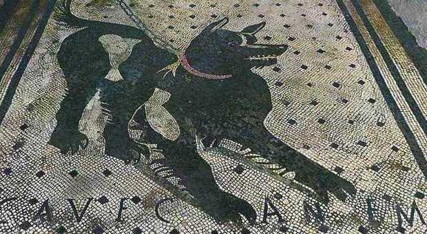 Pompei, dopo i restauri il mosaico del «Cave canem» torna nel suo splendore