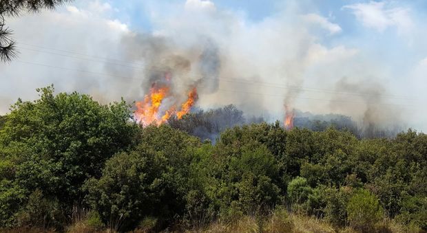 Brucia il bosco di Ansedonia: bloccata la linea ferroviaria Grosseto-Roma