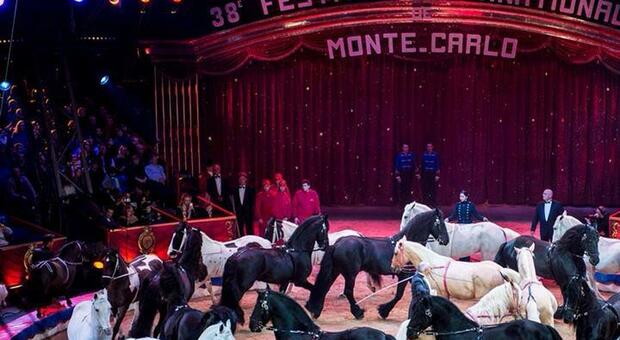 A Napoli torna il circo Togni: esperimenti di magia al femminile