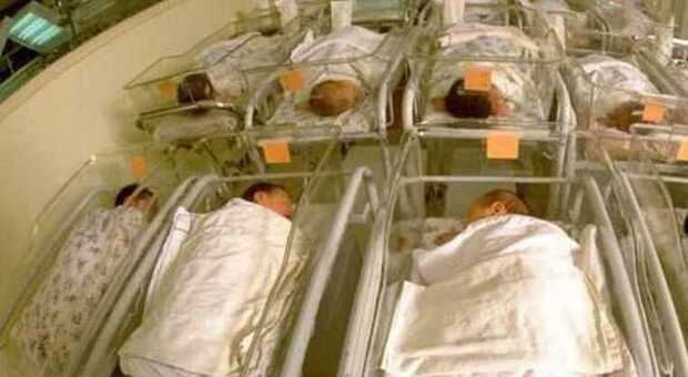 Verona, tre neonati infetti in ospedale: chiuso il reparto neonatale. Potrebbe essere Citrobacter (il batterio killer): il precedente