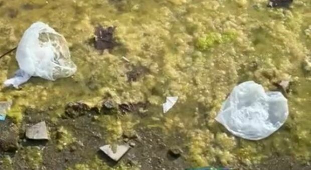 Buste di plastica, lattine e rifiuti a terra nel Lido Mappatella