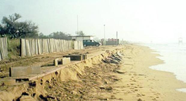 ROSOLINA Si lotta contro l'erosione della spiaggia. Il litorale di Rosolina è
