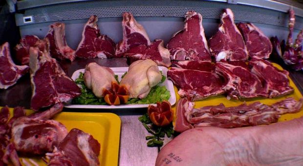 Carne "coltivata", la sfida olandese