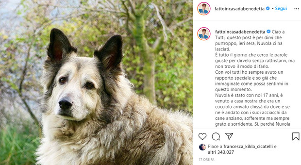 Benedetta Rossi, morto il cane Nuvola: «Da lui ho imparato l'amore puro»